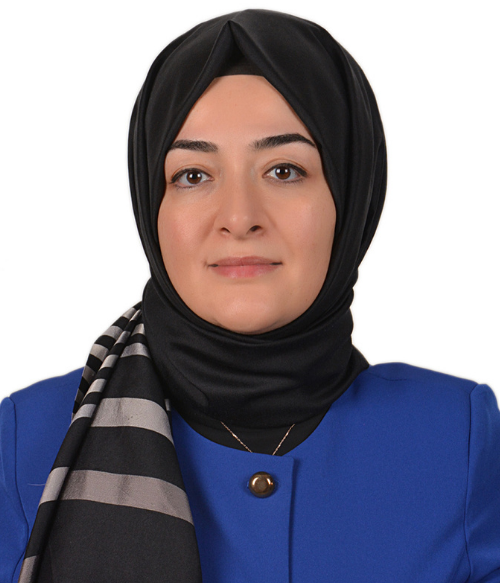 Meryem Bihin Dikici