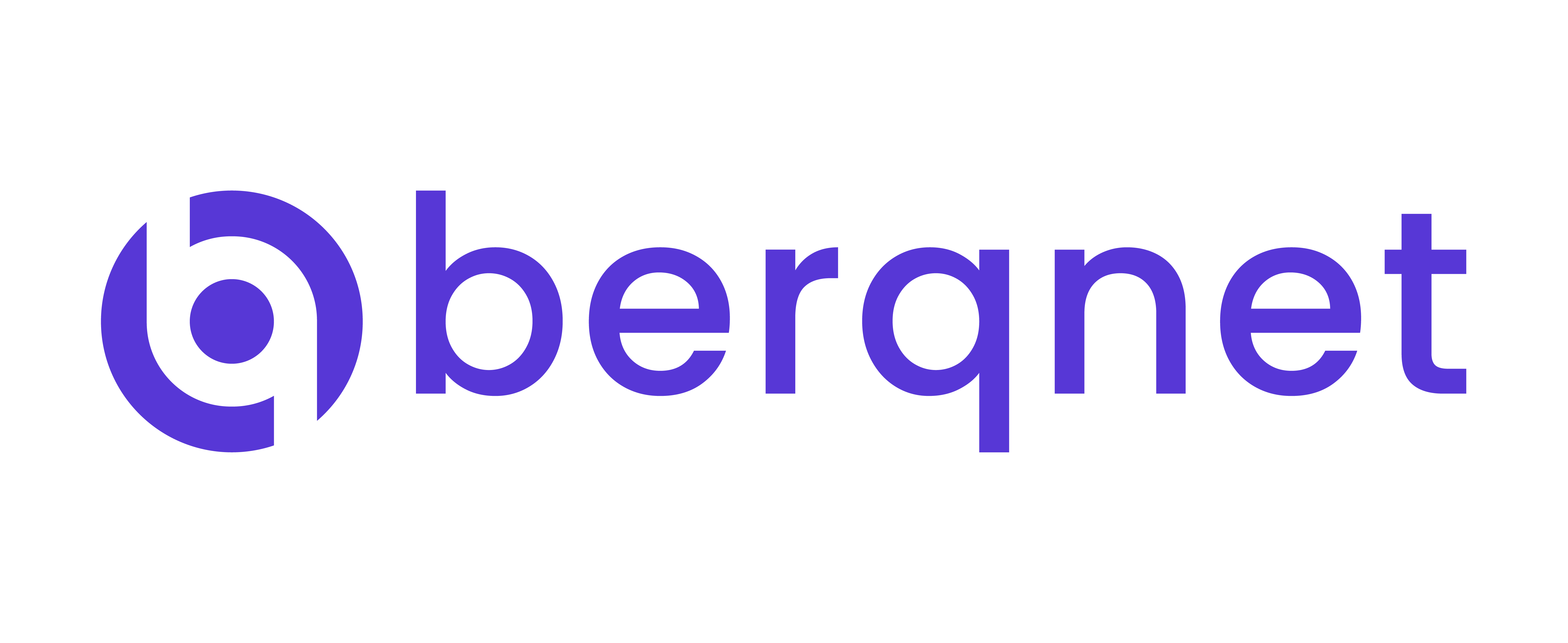Berqnet Siber Güvenlik Teknolojileri A.Ş. logo