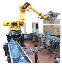 Koli-Şişe Hibrit Robotik Paletleme